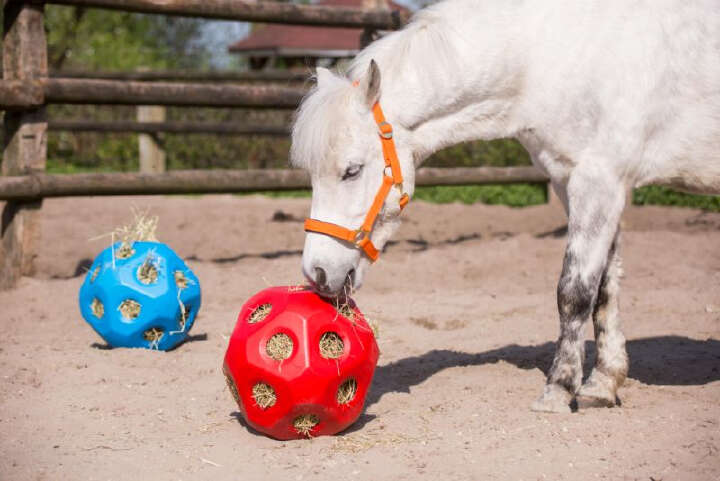 KERBL Futterspielball HeuBoy für Pferde